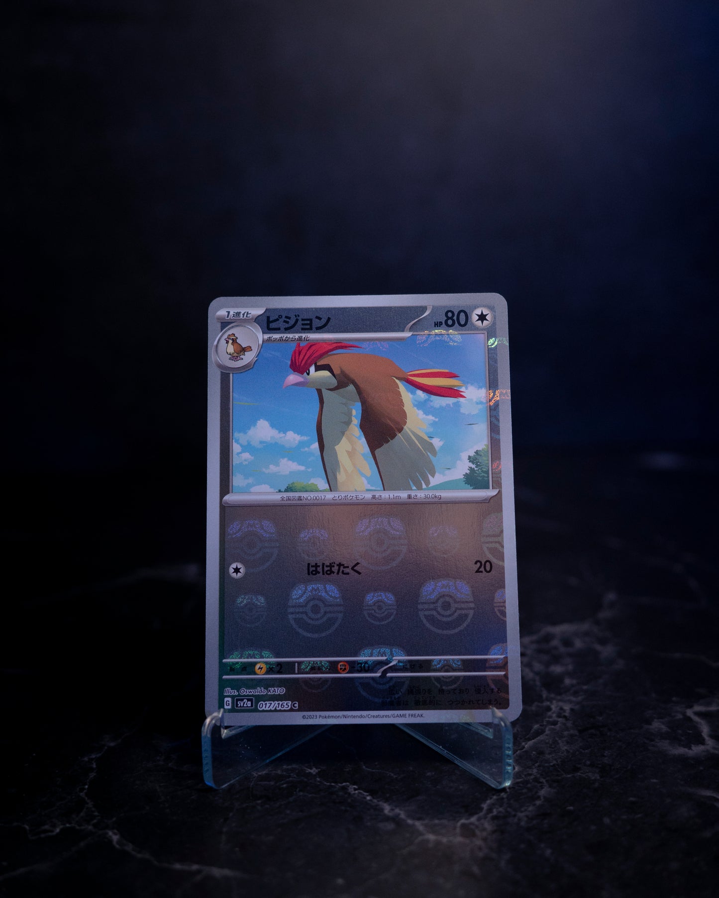 Pidgeotto [MASTER BALL] Sv2a 017/165 (JAP)